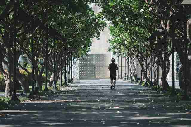 国产探花达人变现模式详解｜用户增长秘笈